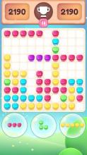 Block Puzzle Cookie截图2