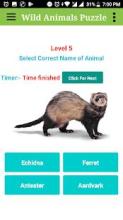 Wild Animals Puzzle截图2