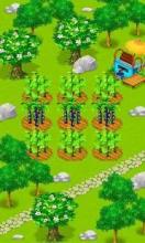 Farm Life 2048截图5