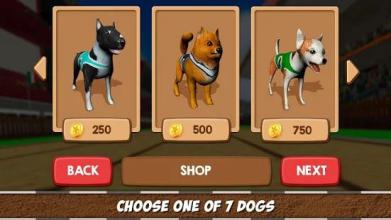 Virtual Derby Dog Racing Championship截图3