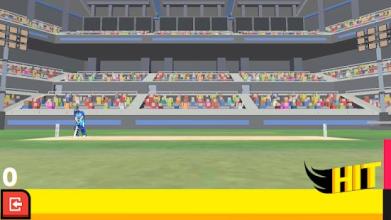 Cricket Arcade - Runs Scoring Game截图5