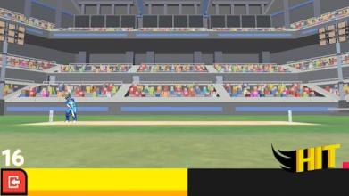 Cricket Arcade - Runs Scoring Game截图3