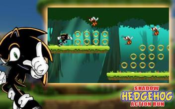 The Shadow Hedgehog Action Run截图1