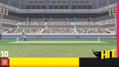 Cricket Arcade - Runs Scoring Game截图2