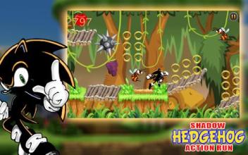 The Shadow Hedgehog Action Run截图2