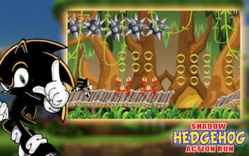 The Shadow Hedgehog Action Run截图3