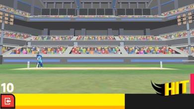 Cricket Arcade - Runs Scoring Game截图1