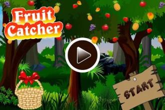 Fruit Catcher Catch截图5