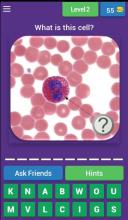 Hematology Quiz截图3