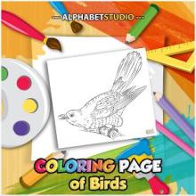 Coloring Page Of Birds截图5