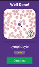 Hematology Quiz截图2