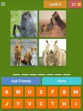 4 Pics 1 Words New Puzzle截图4