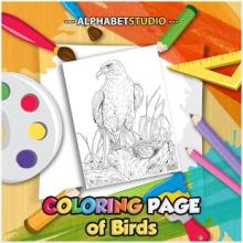 Coloring Page Of Birds截图4