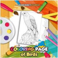 Coloring Page Of Birds截图3