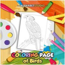 Coloring Page Of Birds截图2