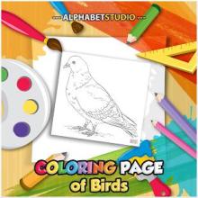 Coloring Page Of Birds截图1