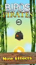 Birds Pirates 2018截图3