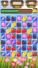 Fruit Splash mania free截图2