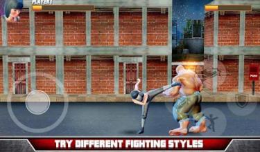 Street Gangs Kung Fu Fighter截图3