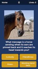 Horse Quiz: Equine Trivia Game截图5