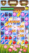 Fruit Splash mania free截图4