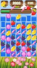 Fruit Splash mania free截图1