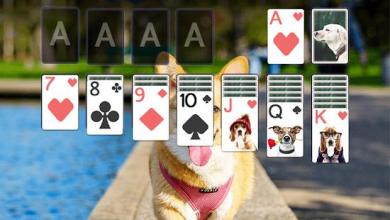 Solitaire Lovely Dogs Theme截图2