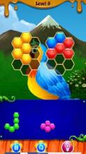 Bird Hexagon Puzzle截图1