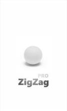 ZigZag Pro - 3D Arcade Game截图4