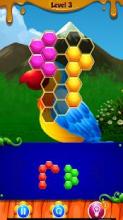 Bird Hexagon Puzzle截图3