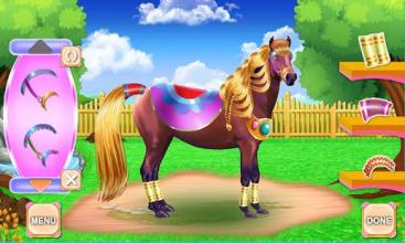 Horse Hair Salon and Mane- Tressage截图2