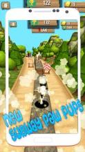 Subway Paw Pups Rush截图2