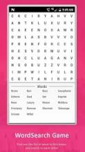 Word Search - Word Cross截图2