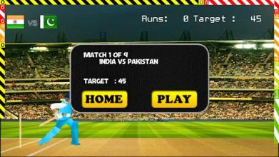 Blokstok Cricket截图4