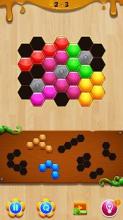 Wood Hexa Block Puzzle截图4