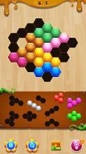 Wood Hexa Block Puzzle截图2