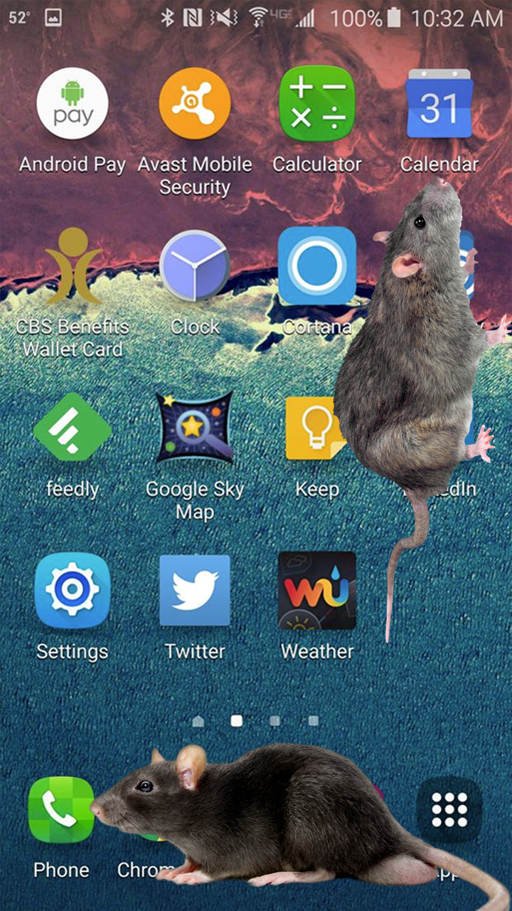 大鼠在屏幕上截图4