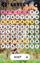 Africa Find-a-Word FREE截图5