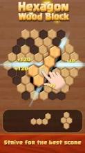 Hexagon Wood Block Puzzle截图4