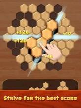 Hexagon Wood Block Puzzle截图1