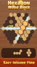 Hexagon Wood Block Puzzle截图5