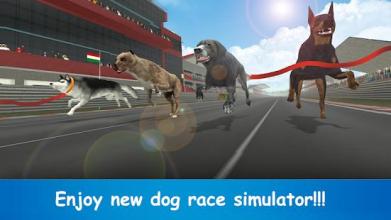 Wild Greyhound Crazy Dog Race 3D Simulation 2018截图1