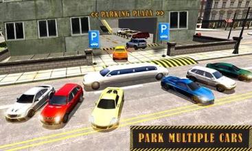 Multi-Level Car Parking & Driving School Simulator截图2