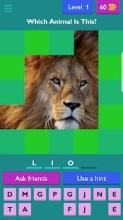 Animal Tiles Quiz Game - Guess That Animal截图4