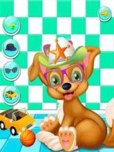 Cute puppy daycare activity - pet wash salon截图1