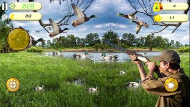 Duck Hunting Adventure截图3