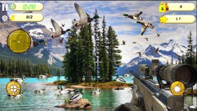 Duck Hunting Adventure截图1