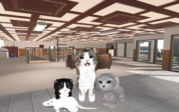 Cute Kitten Cat: Destroy & Smash the Bank ep1截图3