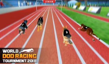 World Dog Racing Tournament 2018: Crazy Dog Race截图3