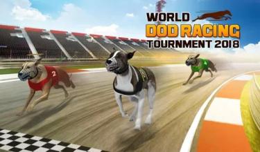 World Dog Racing Tournament 2018: Crazy Dog Race截图5